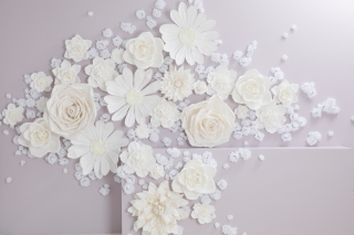 フォトスタジオプリンセス千葉海浜幕張