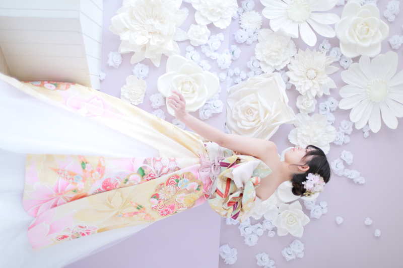 【ソロ着物ドレス】(衣装/ヘアメイク/写真1枚)