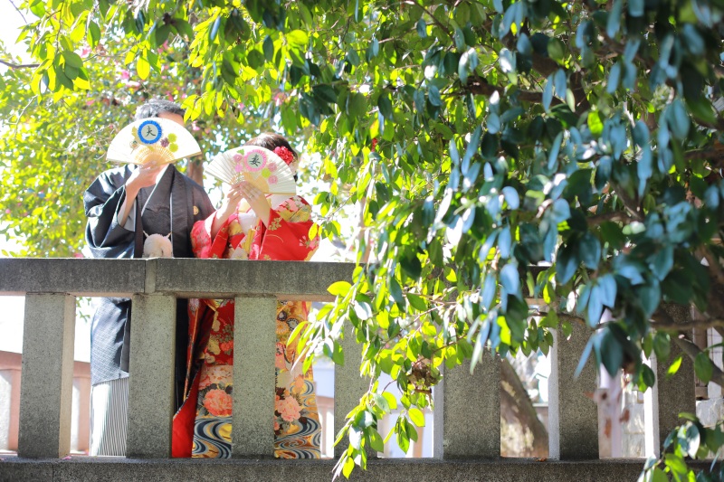 その他の写真も