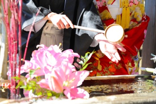 スタジオ＆プチ和装ロケーション撮影in諏訪神社