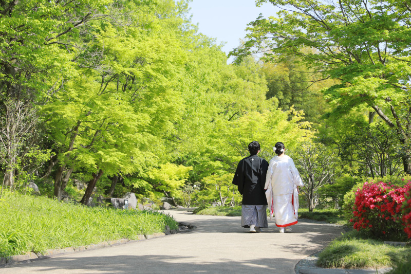 やわらかな新緑に包まれて