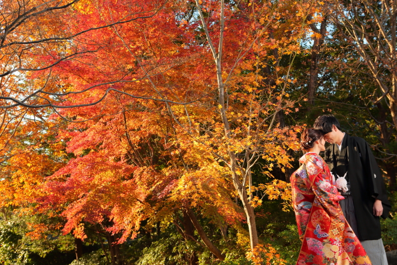 四季折々の草花があなたを待っています♪