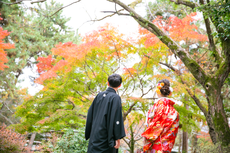 彩り綺麗なグラデーション