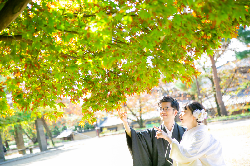 高台寺公園の1枚