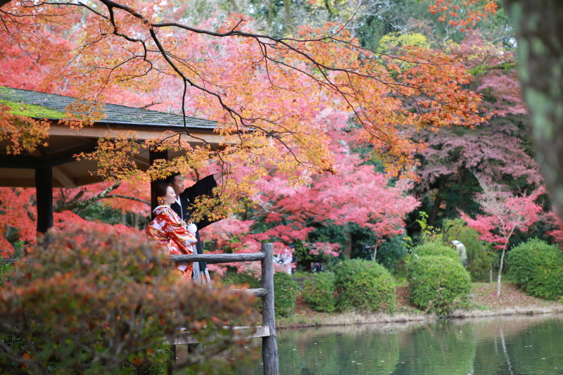 もっとも印象に残ったシーン