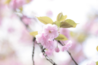 あたたかい日差しと共に…