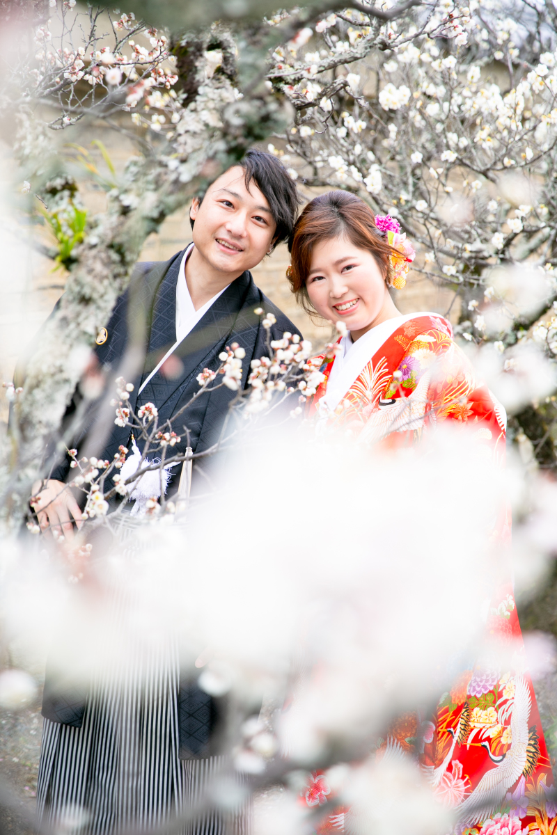 自由欄（お客様の声）