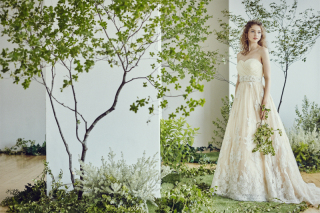 全ての衣裳 合計400着以上がプラン内で選び放題