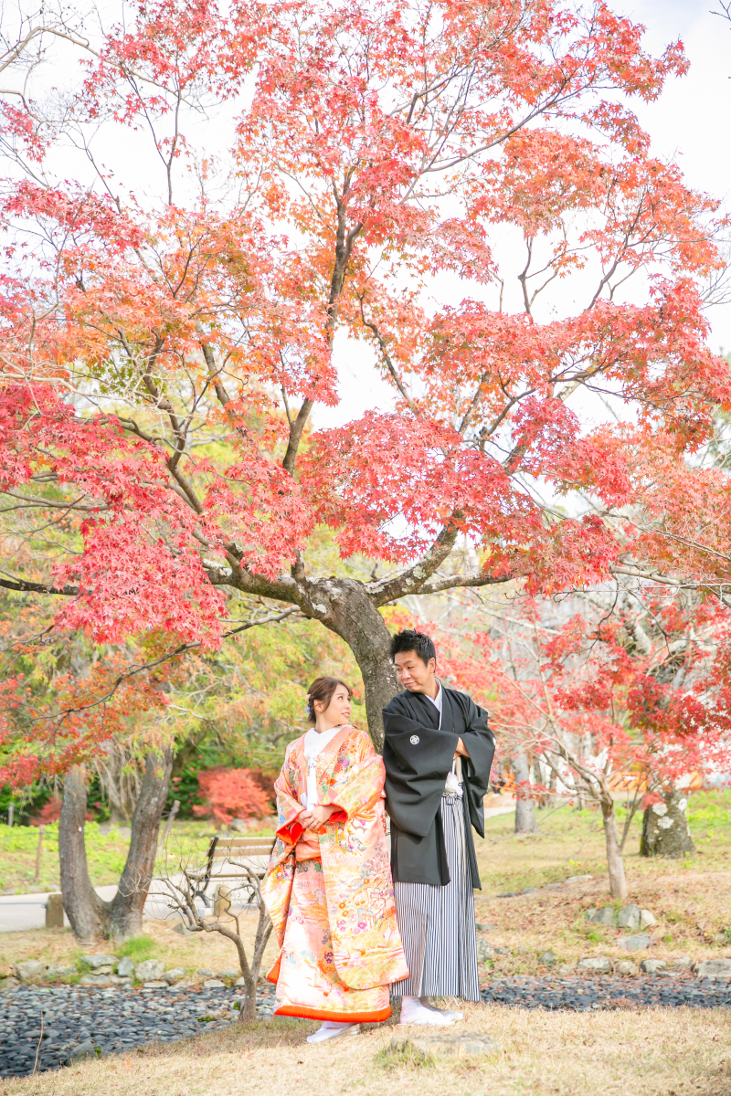 撮影スポット画像