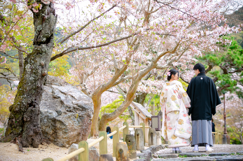 【円山公園周辺 京都ロケーション撮影プラン】全データ150カット込+衣装代込 追加料金一切不要