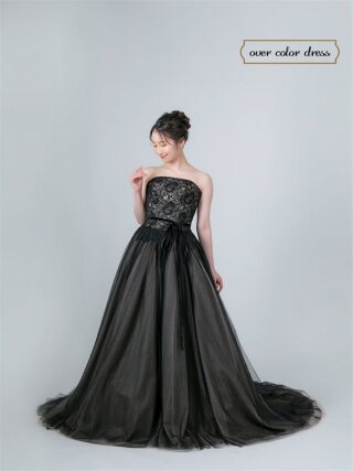 ｵｰﾊﾞｰ ﾉﾜｰﾙ ﾐｽﾄ