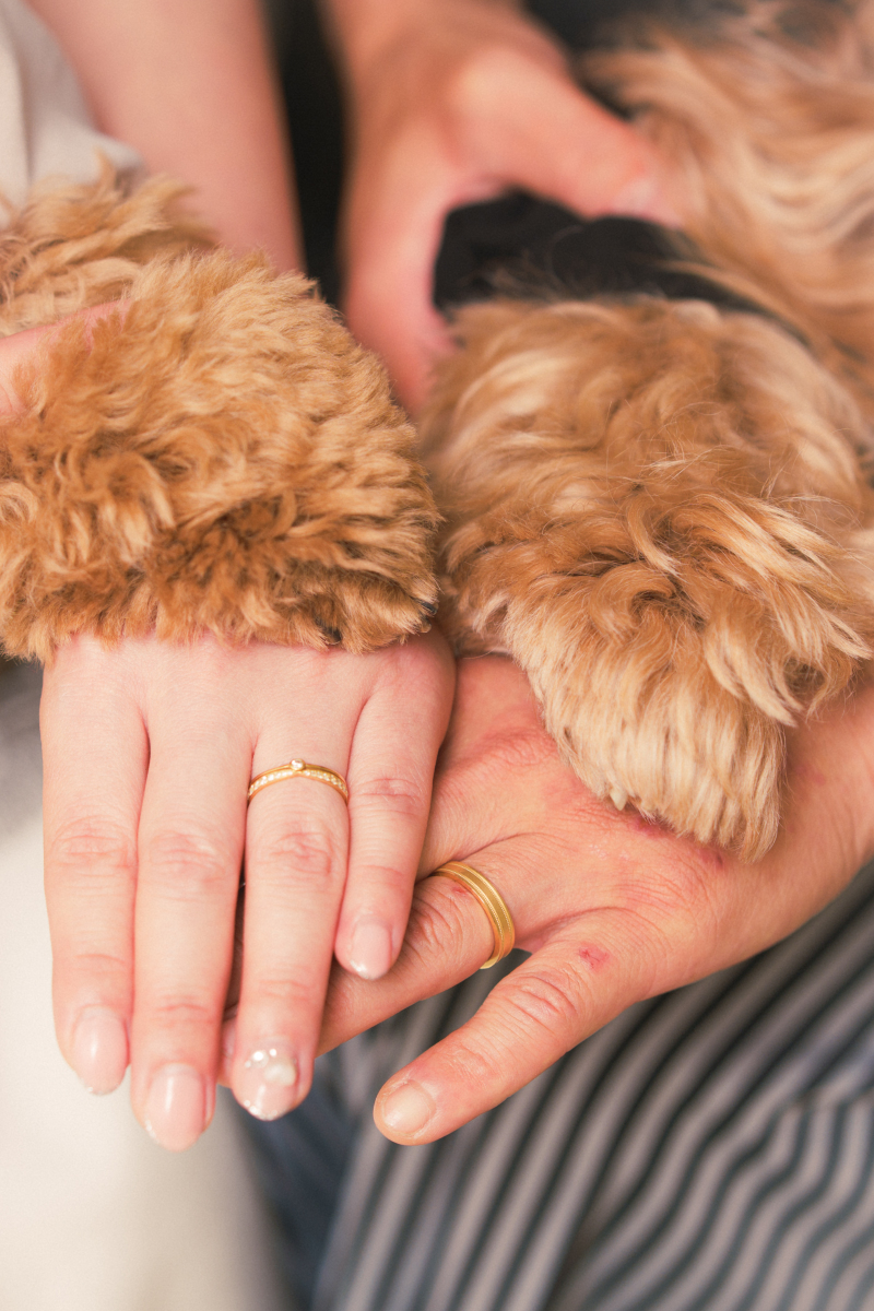 手と手、そして小さな足