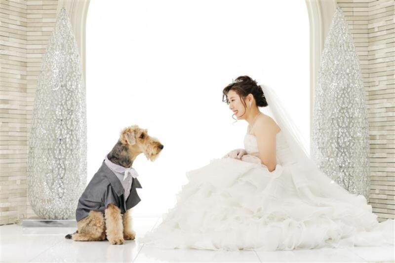 大切な親友・ペットとの撮影も可能！