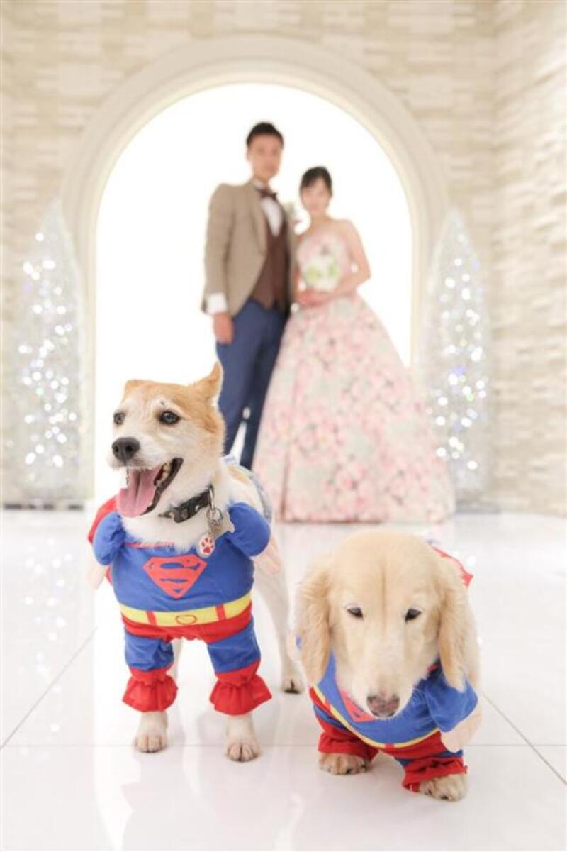 愛するペット共に思い出フォト