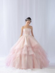 Pinkgarbera ﾋﾟﾝｸｶﾞｰﾍﾞﾗ