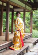 遠山離宮の舞(黄色) とおやまりきゅうのまい 