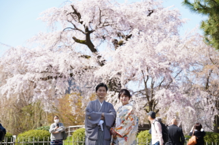 【円山公園】ロケーションフォト