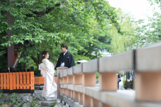 【祇園】ロケーションフォト 「新緑」
