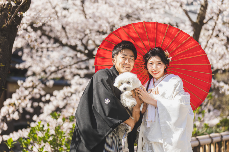 京都の街並みと、大切なペットと♡