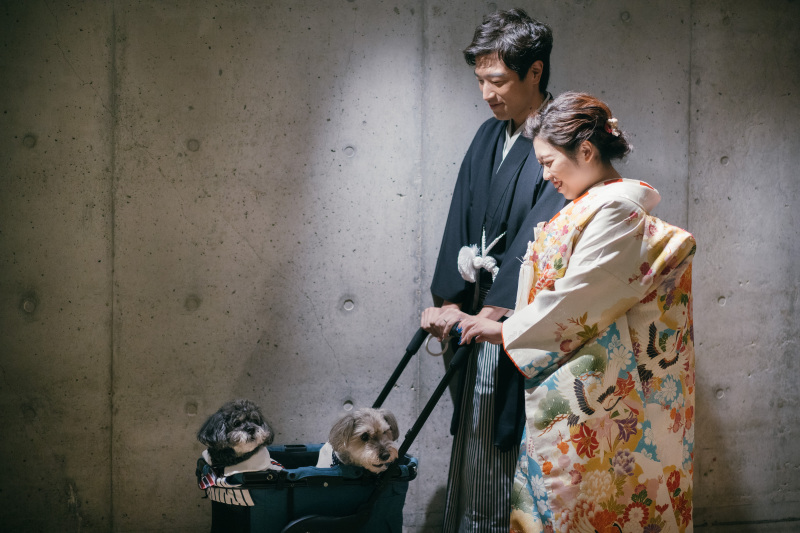 小さな結婚式 京都店_ペットと一緒に撮影できる