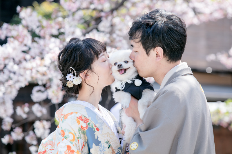 紋付は黒色だけではない!