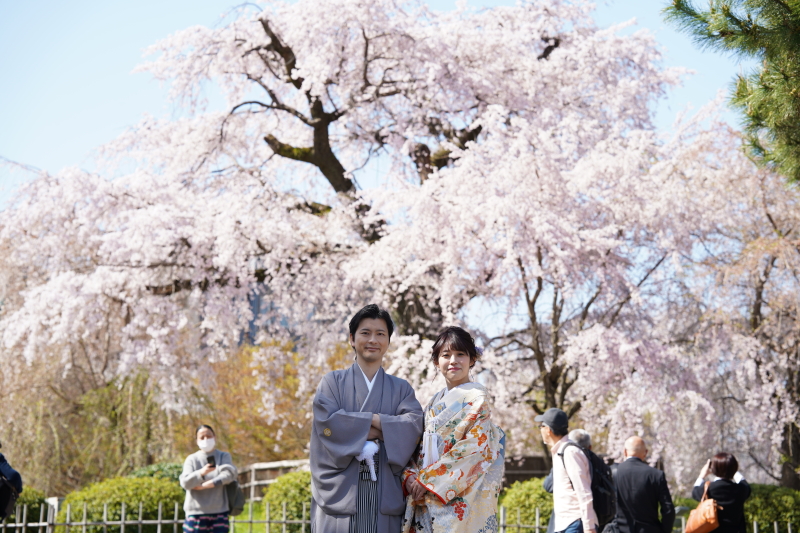 【円山公園×チャペル】基本料金50%OFF◆和洋各1着プラン|全カットデータ付き|187,600円→118,100円