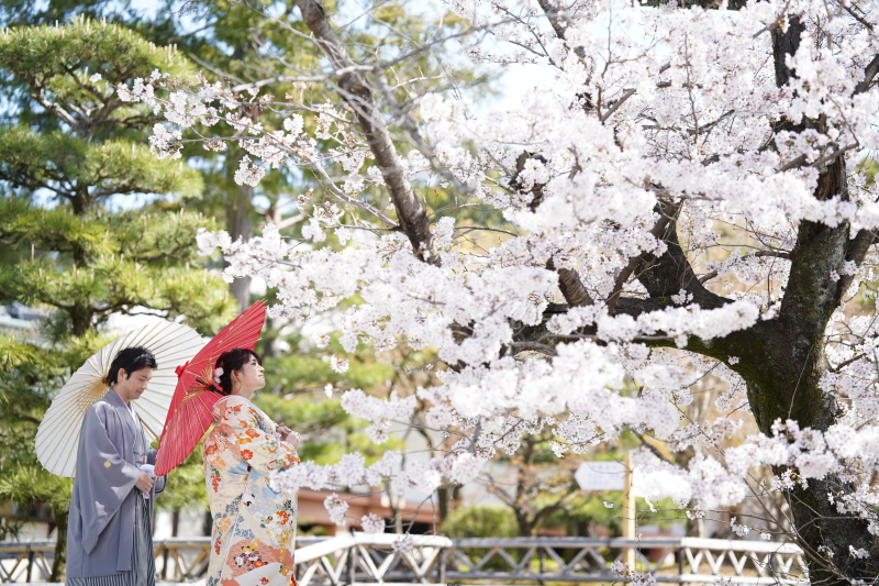 【円山公園×チャペル】基本料金50%OFF◆和洋各1着プラン|全カットデータ付き|187,600円→118,100円