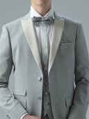 WILL2蝶ﾀｲ/ｸﾞﾚｰ