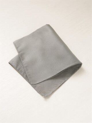 WILL2ﾁｰﾌ/ｸﾞﾚｰ