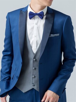 WILL蝶ﾀｲ/ﾌﾞﾙｰ