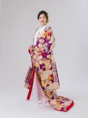 献上梅花飛翔鶴 