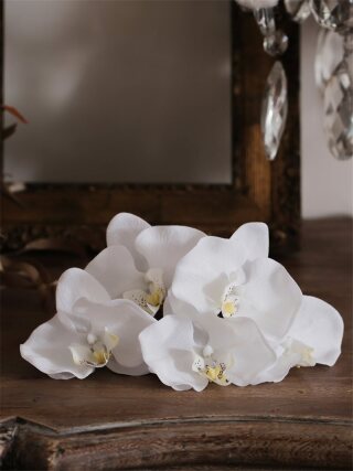 和装ﾍｯﾄﾞﾊﾟｰﾂ(胡蝶蘭 / 白)