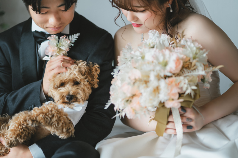 可愛いも美しいも