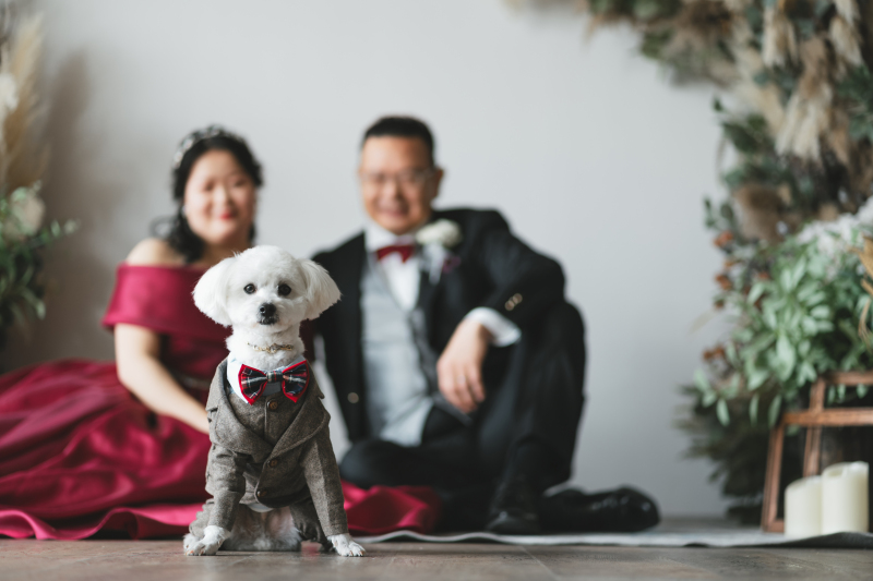 優しく見守る姿も素敵