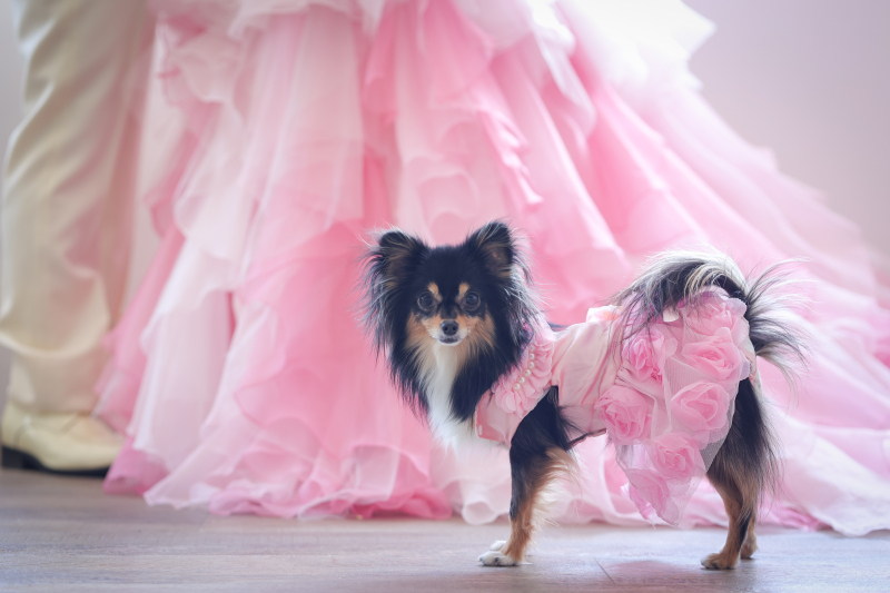 1つやりたいことができて良かった！！