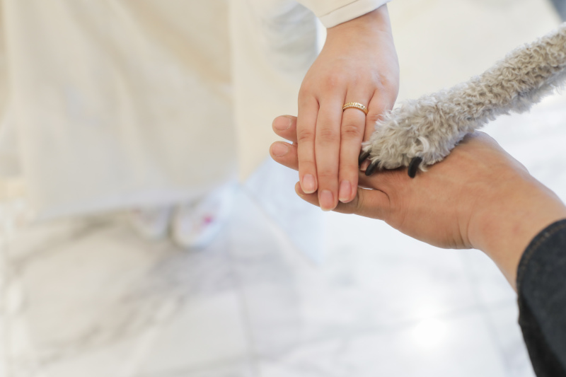 これからは・・・