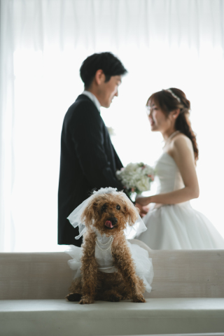 小さな結婚式 神戸モザイク店