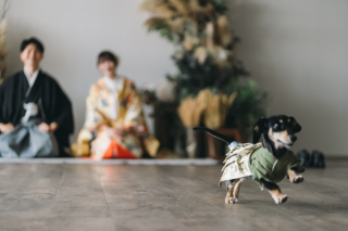 小さな結婚式 神戸モザイク店_【大切な家族も一緒に】ペットとフォトウェディング