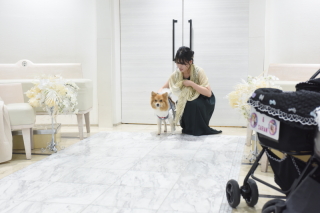 小さな結婚式 神戸モザイク店_【大切な家族も一緒に】ペットとフォトウェディング