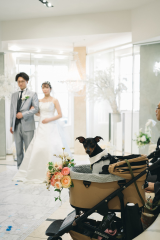 小さな結婚式 神戸モザイク店_【大切な家族も一緒に】ペットとフォトウェディング