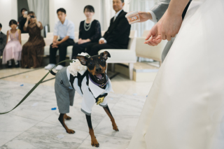 小さな結婚式 神戸モザイク店_【大切な家族も一緒に】ペットとフォトウェディング