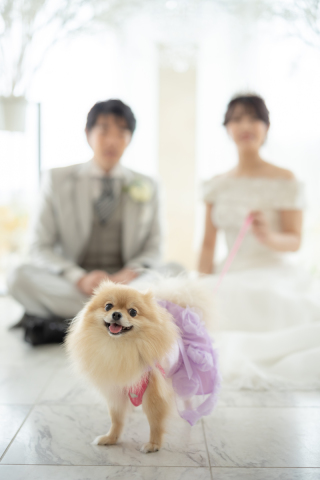 小さな結婚式 神戸モザイク店_【大切な家族も一緒に】ペットとフォトウェディング
