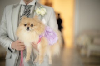 小さな結婚式 神戸モザイク店_【大切な家族も一緒に】ペットとフォトウェディング