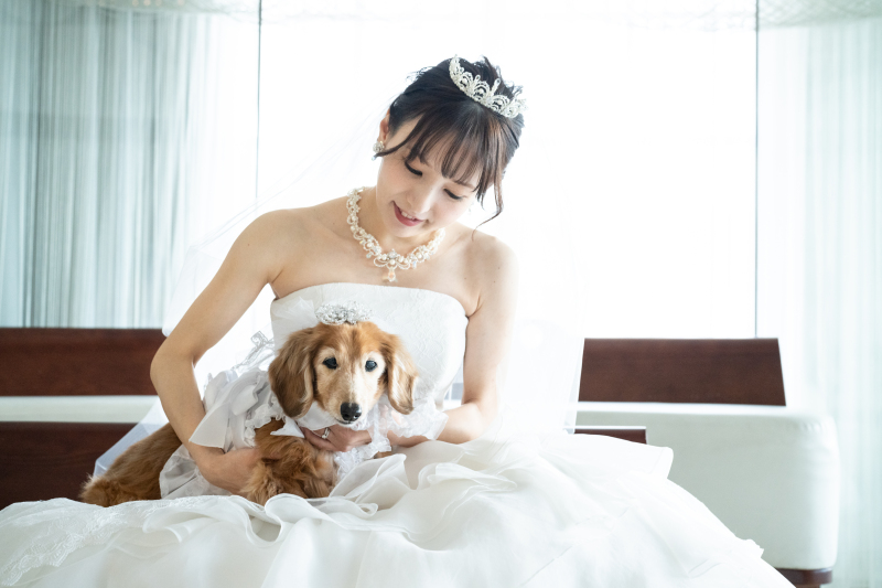 【 ドレス*ソロフォト 】もっと楽しくわがままにお姫様気分のフォト!チャペルやスタジオで撮影可能◎来年5月末迄の撮影で基本料割引
