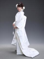 白AP-63 鶴に花集道長