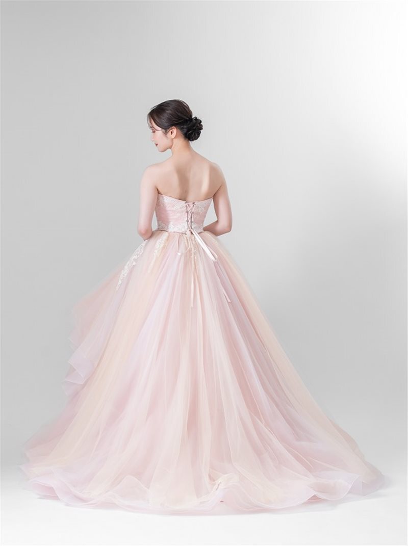 Pinkgarbera ﾋﾟﾝｸｶﾞｰﾍﾞﾗ