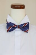 蝶ﾈｸﾀｲ ｽﾄﾗｲﾌﾟ(ﾌﾞﾙｰ×ﾚｯﾄﾞ) 