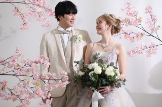 スタジオに桜が咲きました！！