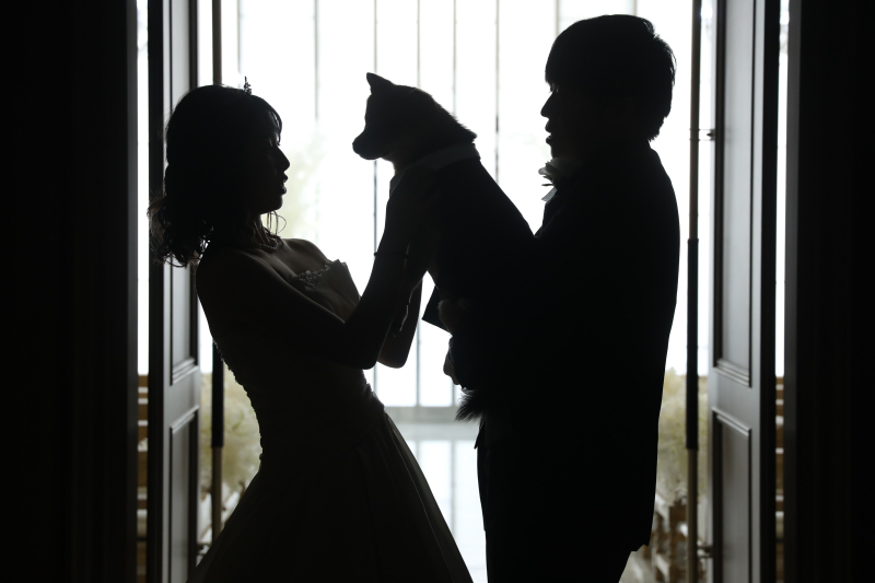 シルエット撮影