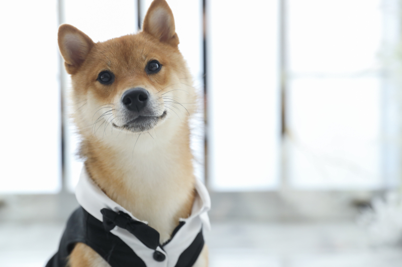 見てくれてありがとう^^